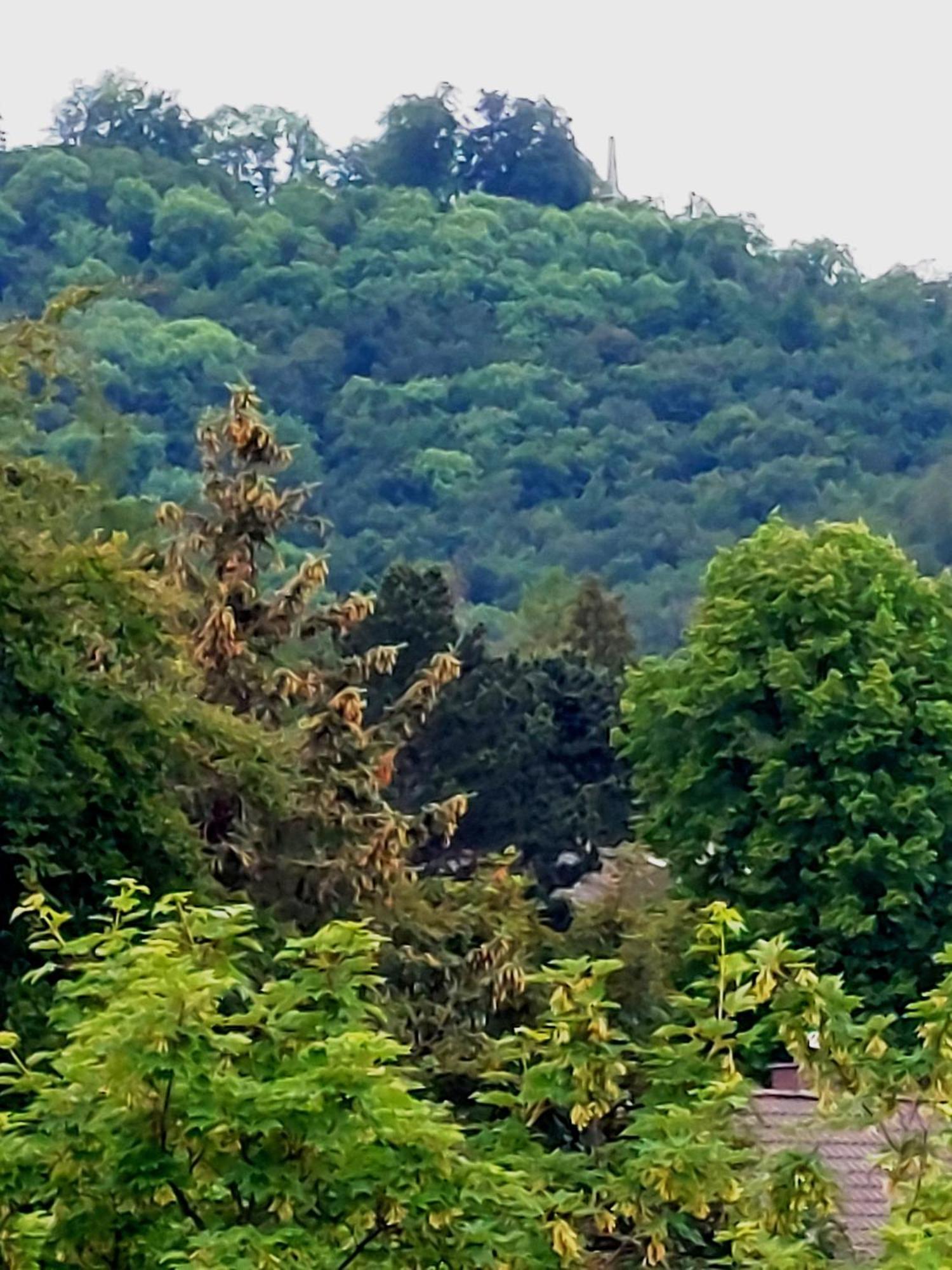 Burgberg-Blick Apartment Bad Harzburg Bagian luar foto