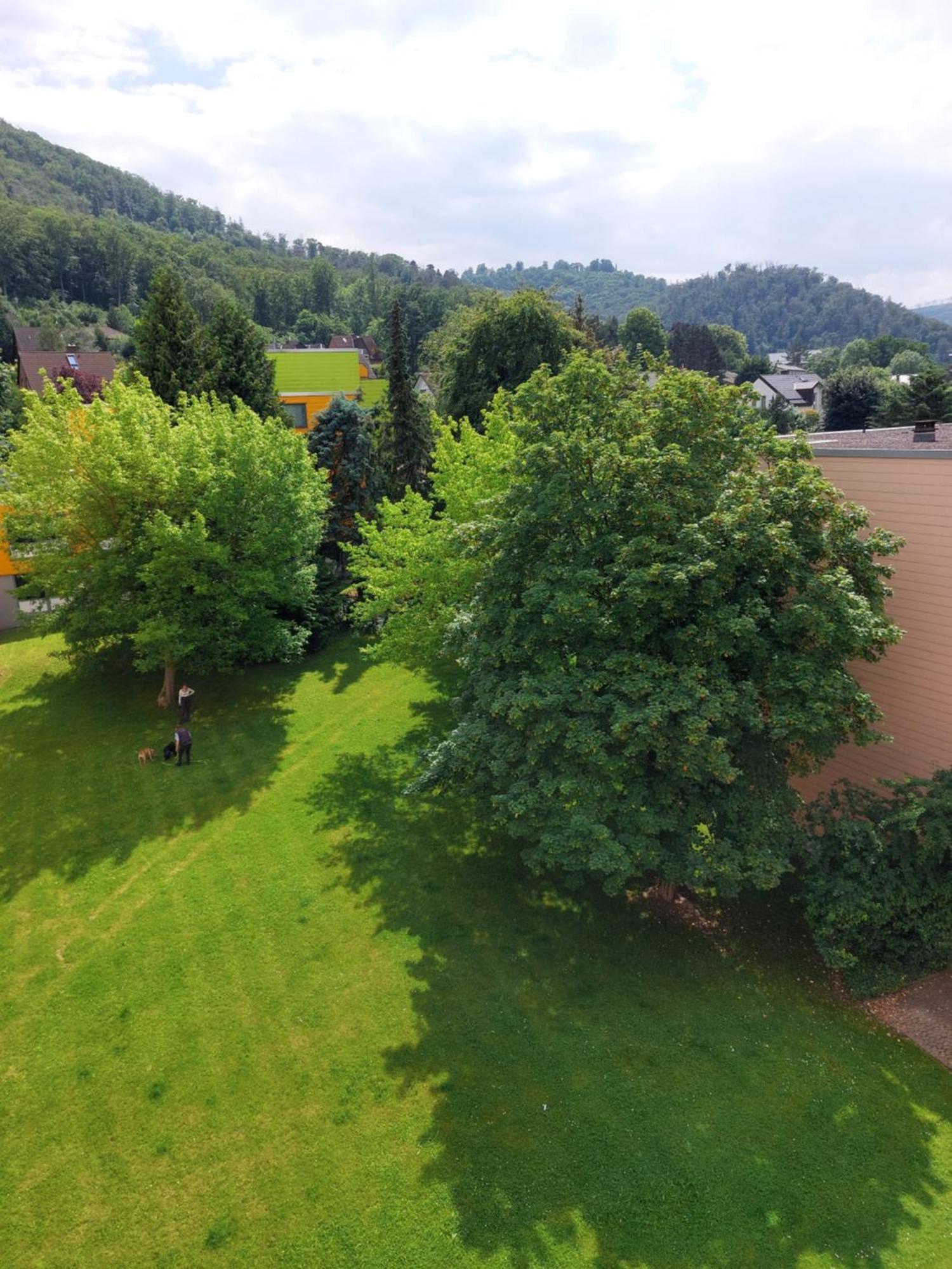 Burgberg-Blick Apartment Bad Harzburg Bagian luar foto